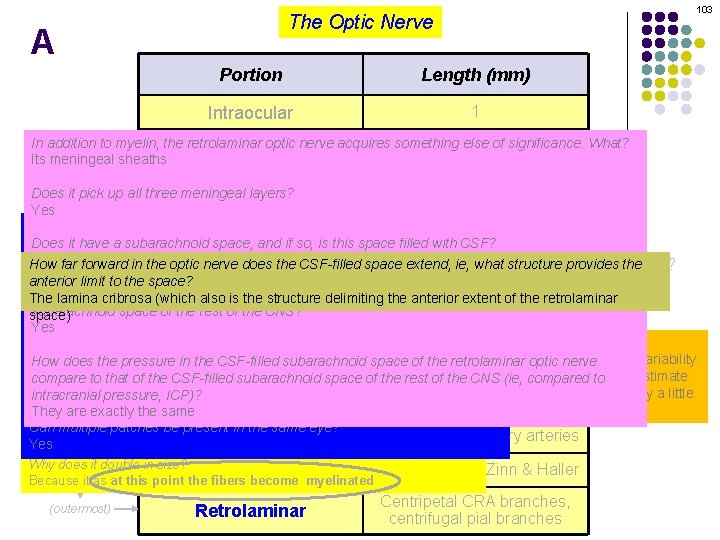 103 The Optic Nerve A Portion Length (mm) Intraocular 1 In addition to myelin,