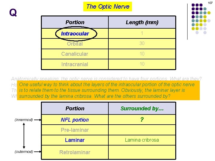 107 The Optic Nerve Q Portion Length (mm) Intraocular 1 Orbital 30 Canalicular 10