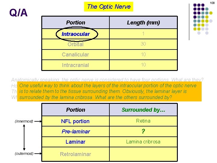 108 The Optic Nerve Q/A Portion Length (mm) Intraocular 1 Orbital 30 Canalicular 10