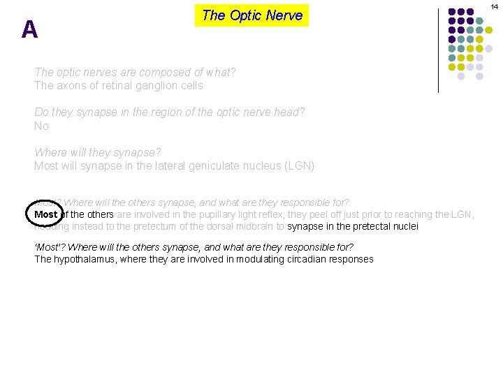 A The Optic Nerve The optic nerves are composed of what? The axons of