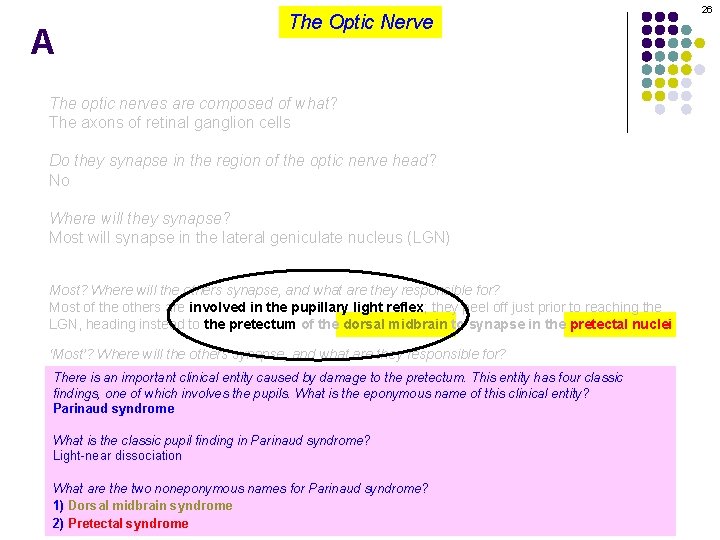 A The Optic Nerve The optic nerves are composed of what? The axons of