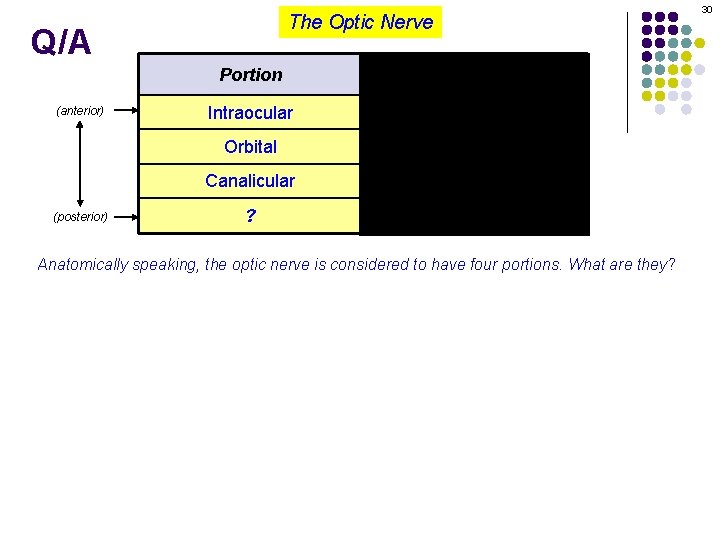 The Optic Nerve Q/A (anterior) 30 Portion Length (mm) Intraocular 1 Orbital ? Canalicular