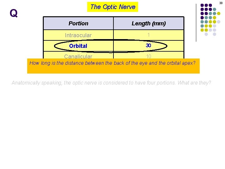 38 The Optic Nerve Q Portion Length (mm) Intraocular 1 Orbital 30 Canalicular 10