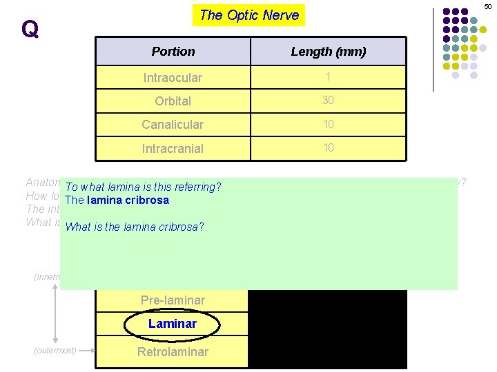 50 The Optic Nerve Q Portion Length (mm) Intraocular 1 Orbital 30 Canalicular 10