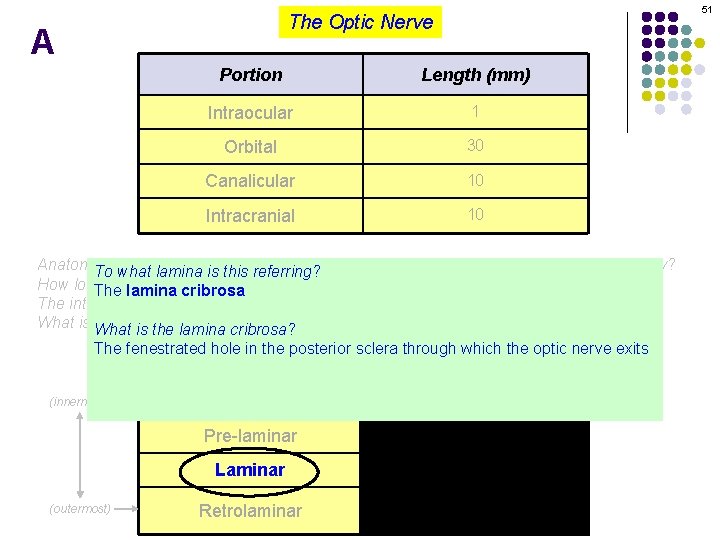 51 The Optic Nerve A Portion Length (mm) Intraocular 1 Orbital 30 Canalicular 10