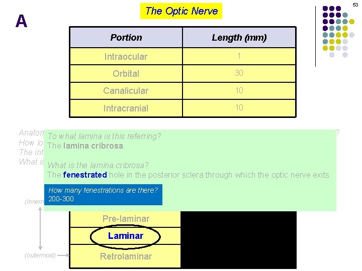 53 The Optic Nerve A Portion Length (mm) Intraocular 1 Orbital 30 Canalicular 10