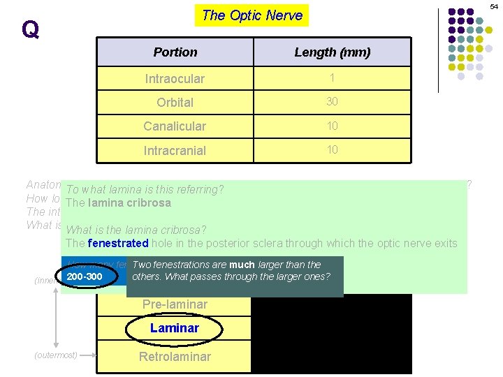 54 The Optic Nerve Q Portion Length (mm) Intraocular 1 Orbital 30 Canalicular 10