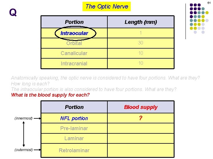 61 The Optic Nerve Q Portion Length (mm) Intraocular 1 Orbital 30 Canalicular 10