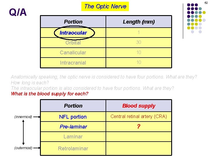 62 The Optic Nerve Q/A Portion Length (mm) Intraocular 1 Orbital 30 Canalicular 10