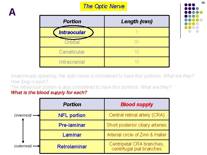 65 The Optic Nerve A Portion Length (mm) Intraocular 1 Orbital 30 Canalicular 10