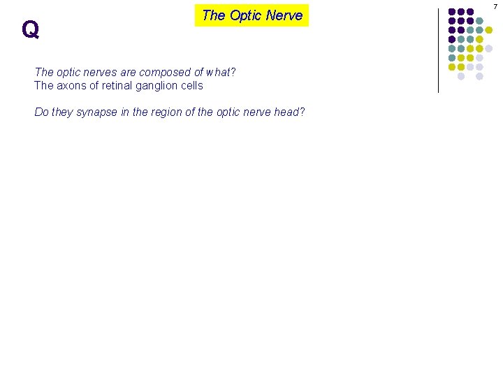 Q The Optic Nerve The optic nerves are composed of what? The axons of