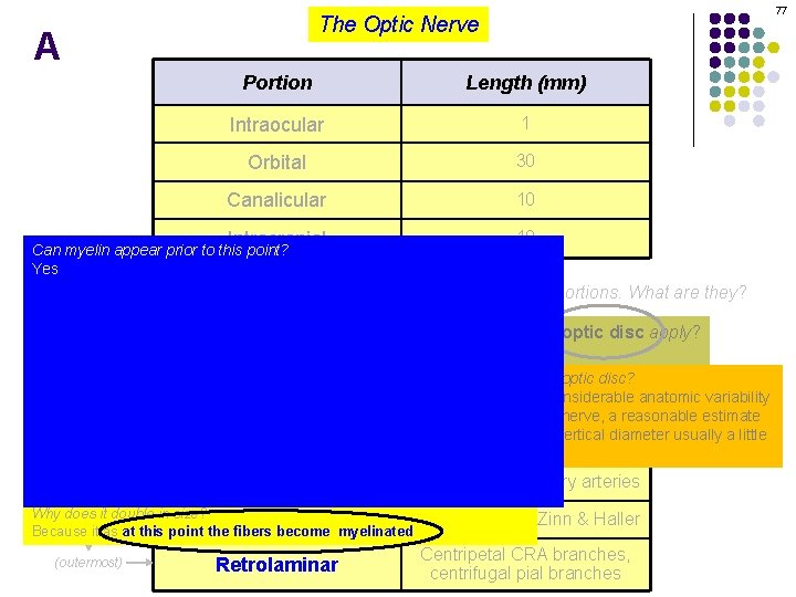 77 The Optic Nerve A Portion Length (mm) Intraocular 1 Orbital 30 Canalicular 10