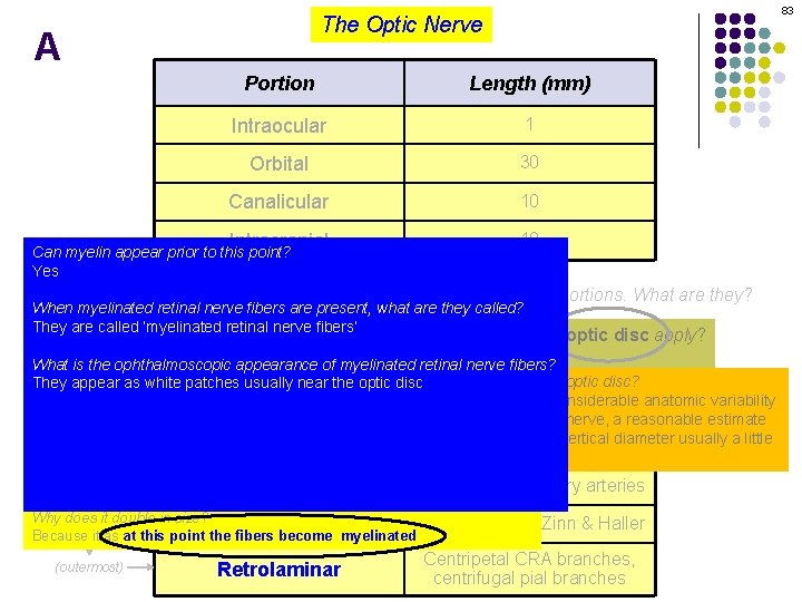 83 The Optic Nerve A Portion Length (mm) Intraocular 1 Orbital 30 Canalicular 10