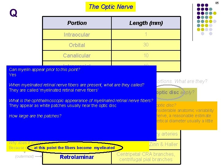 85 The Optic Nerve Q Portion Length (mm) Intraocular 1 Orbital 30 Canalicular 10