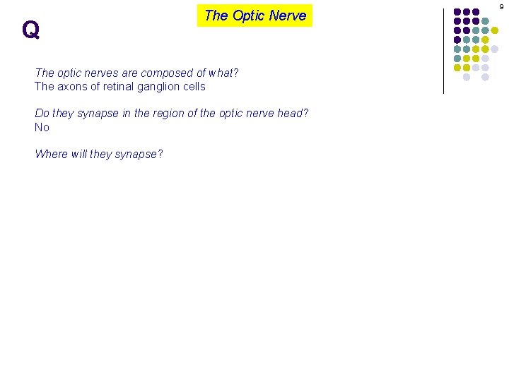 Q The Optic Nerve The optic nerves are composed of what? The axons of