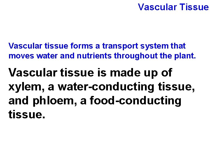 Vascular Tissue Vascular tissue forms a transport system that moves water and nutrients throughout