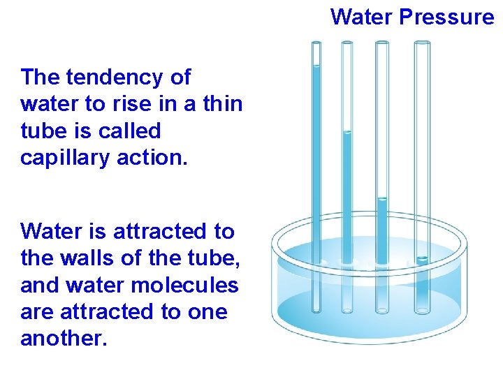 Water Pressure The tendency of water to rise in a thin tube is called
