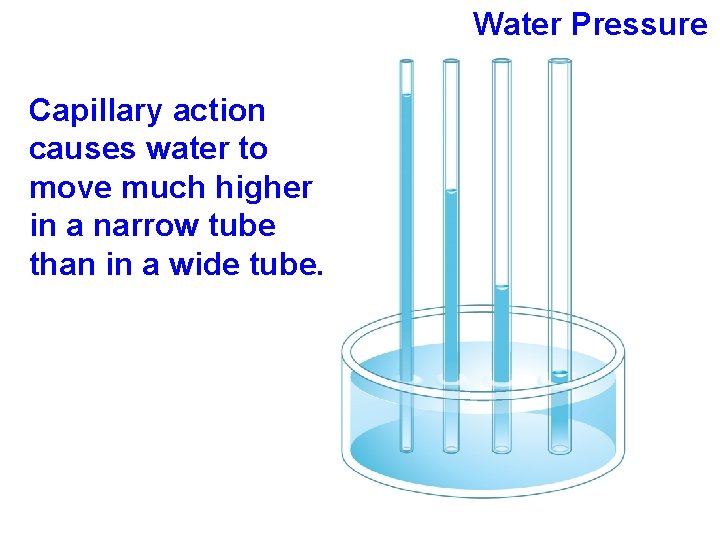 Water Pressure Capillary action causes water to move much higher in a narrow tube