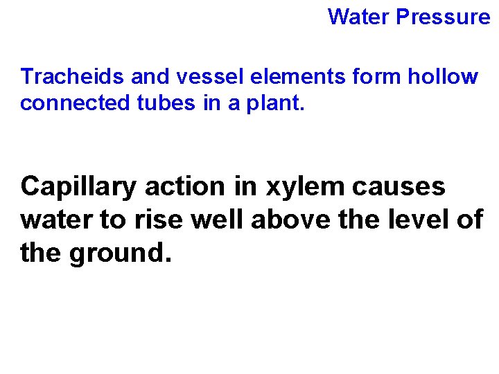 Water Pressure Tracheids and vessel elements form hollow connected tubes in a plant. Capillary