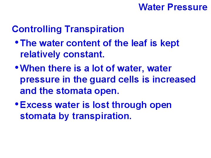 Water Pressure Controlling Transpiration • The water content of the leaf is kept relatively
