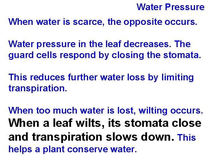 Water Pressure When water is scarce, the opposite occurs. Water pressure in the leaf