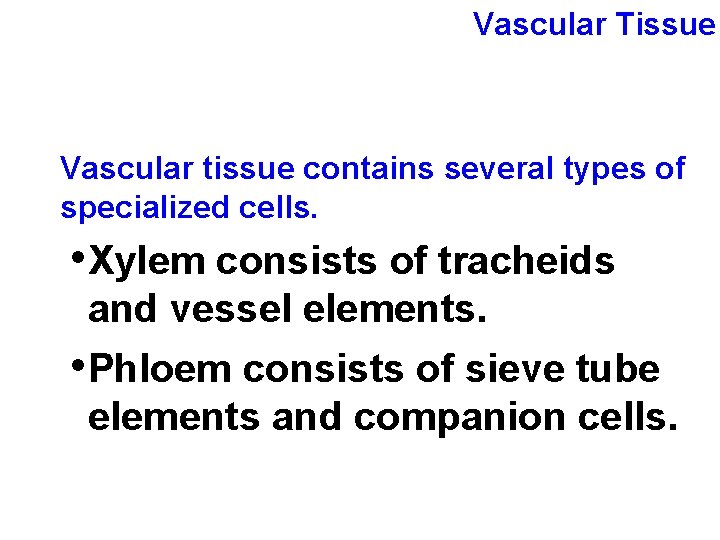 Vascular Tissue Vascular tissue contains several types of specialized cells. • Xylem consists of