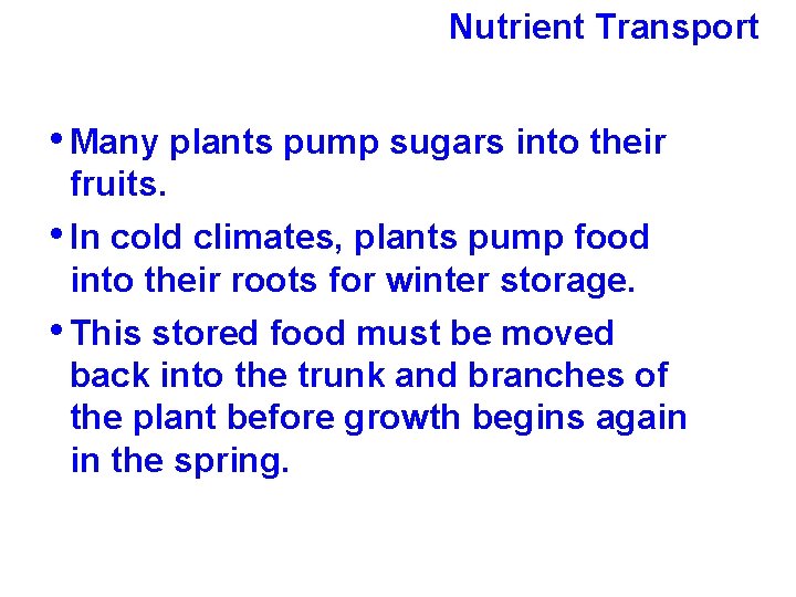 Nutrient Transport • Many plants pump sugars into their fruits. • In cold climates,