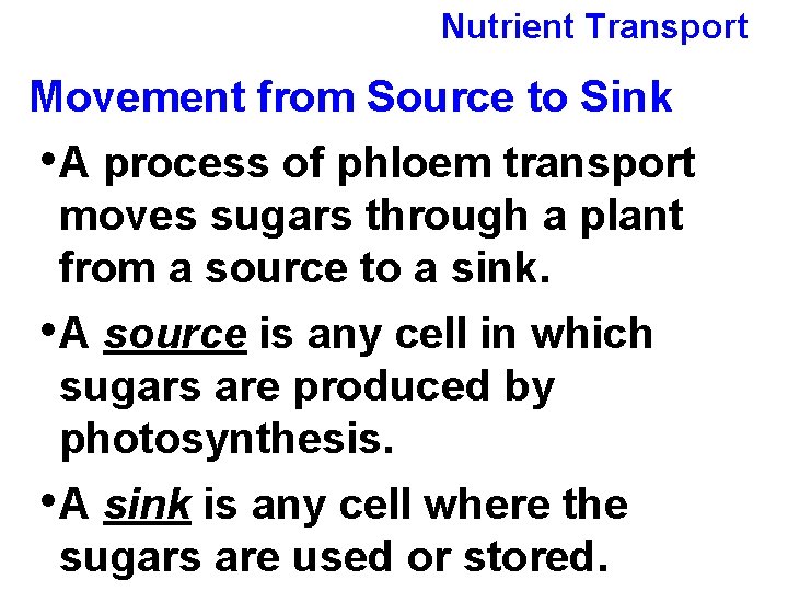 Nutrient Transport Movement from Source to Sink • A process of phloem transport moves