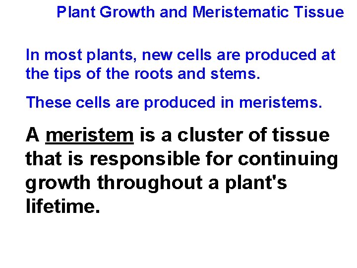 Plant Growth and Meristematic Tissue In most plants, new cells are produced at the