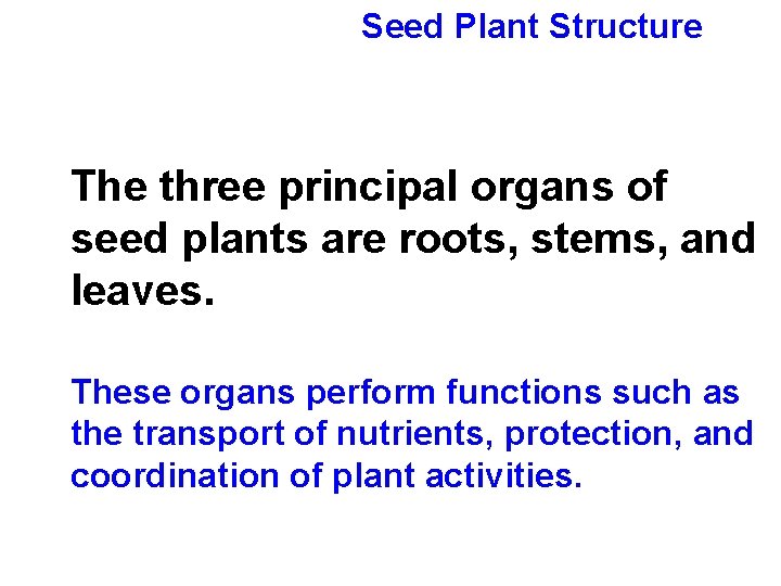Seed Plant Structure The three principal organs of seed plants are roots, stems, and