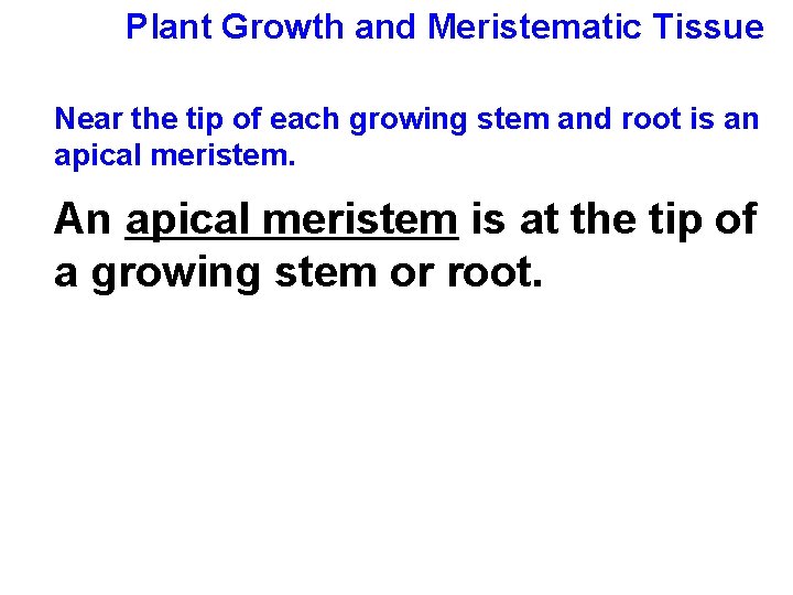 Plant Growth and Meristematic Tissue Near the tip of each growing stem and root