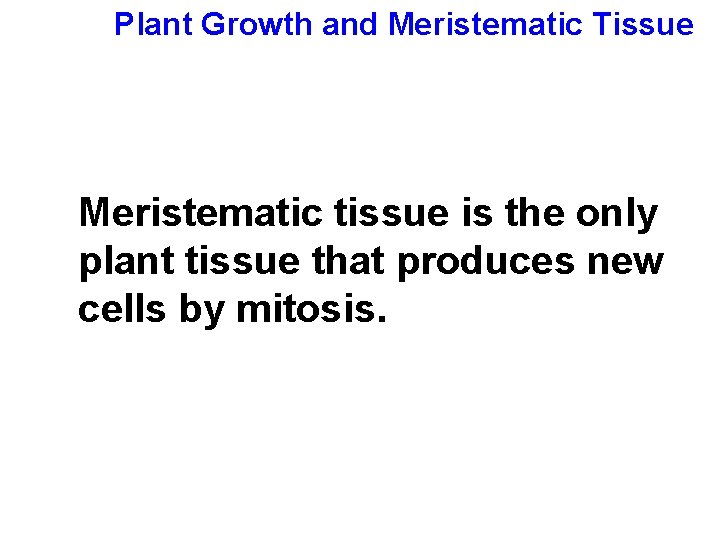 Plant Growth and Meristematic Tissue Meristematic tissue is the only plant tissue that produces