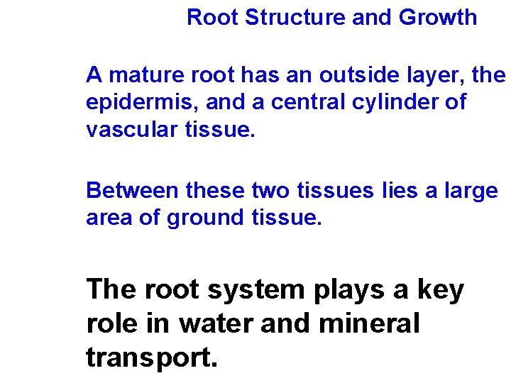 Root Structure and Growth A mature root has an outside layer, the epidermis, and