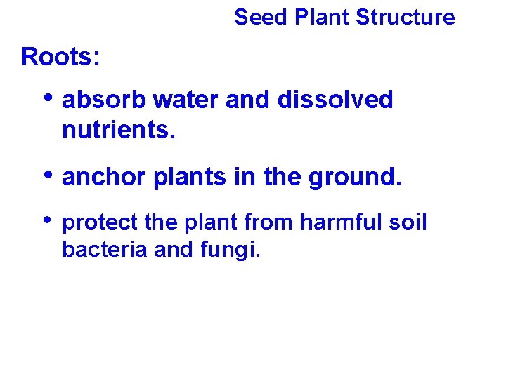 Seed Plant Structure Roots: • absorb water and dissolved nutrients. • anchor plants in