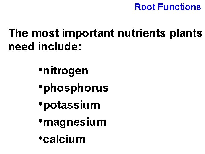 Root Functions The most important nutrients plants need include: • nitrogen • phosphorus •