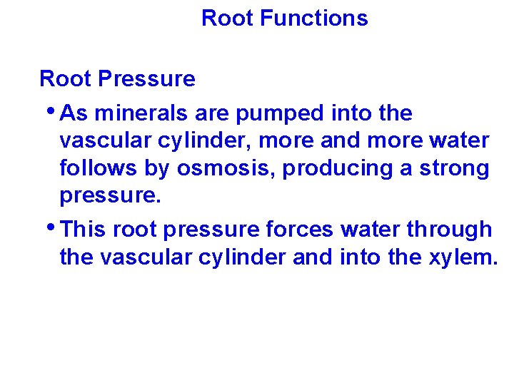 Root Functions Root Pressure • As minerals are pumped into the vascular cylinder, more
