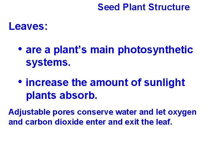 Seed Plant Structure Leaves: • are a plant’s main photosynthetic systems. • increase the