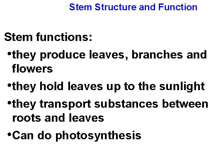 Stem Structure and Function Stem functions: • they produce leaves, branches and flowers •