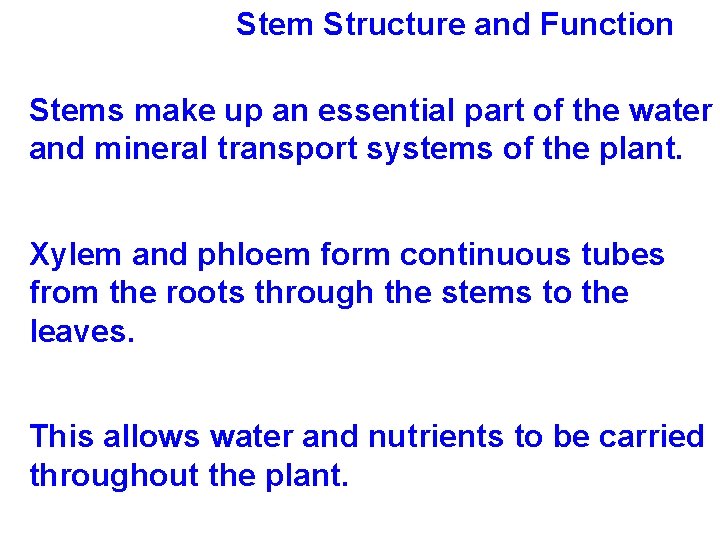 Stem Structure and Function Stems make up an essential part of the water and