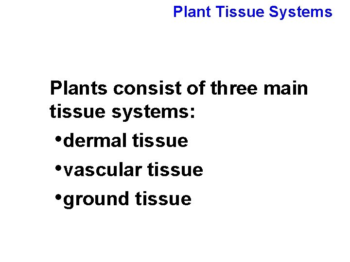 Plant Tissue Systems Plants consist of three main tissue systems: • dermal tissue •