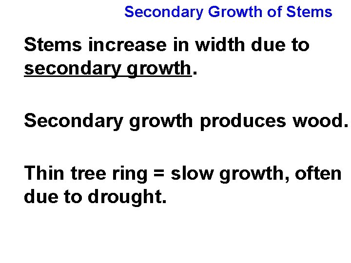 Secondary Growth of Stems increase in width due to secondary growth. Secondary growth produces