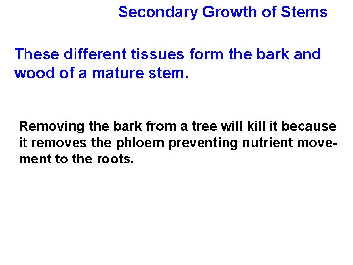 Secondary Growth of Stems These different tissues form the bark and wood of a