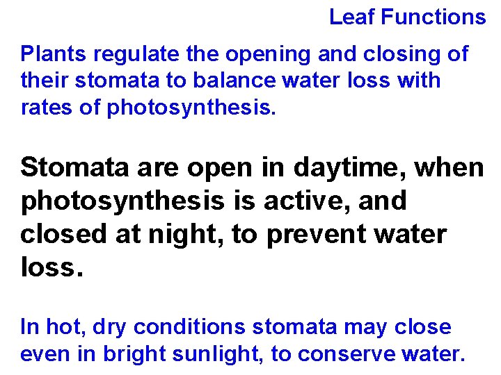 Leaf Functions Plants regulate the opening and closing of their stomata to balance water