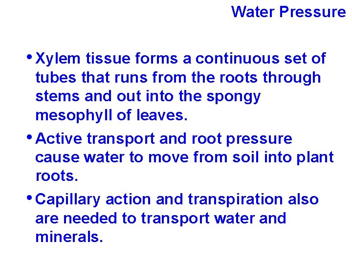 Water Pressure • Xylem tissue forms a continuous set of tubes that runs from