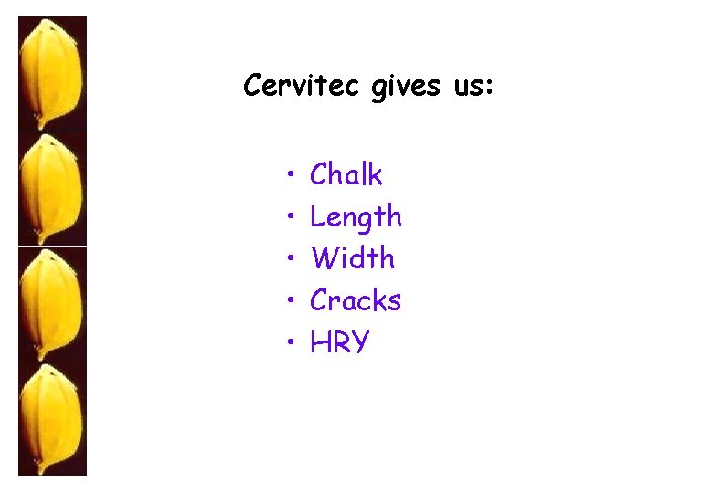 Cervitec gives us: • • • Chalk Length Width Cracks HRY 