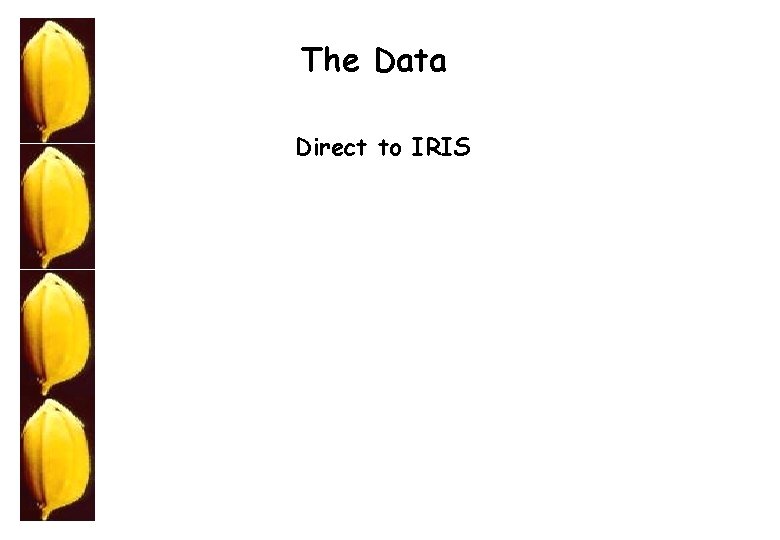 The Data Direct to IRIS 