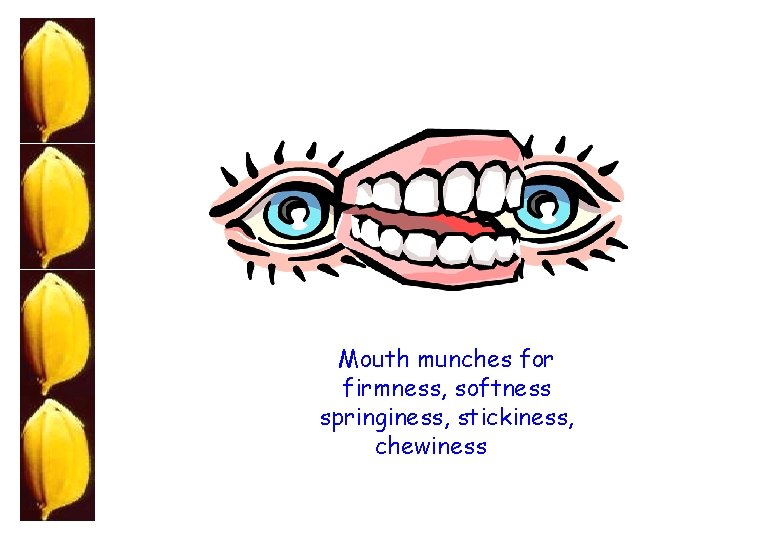 Mouth munches for firmness, softness springiness, stickiness, chewiness 