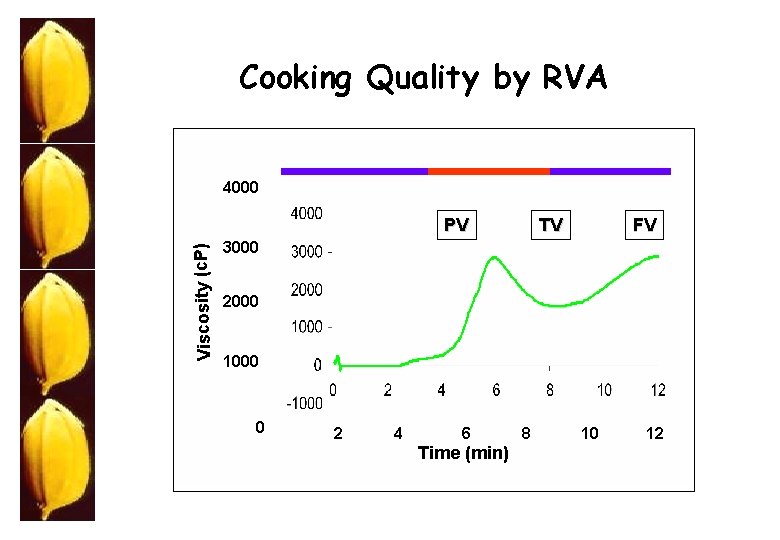Cooking Quality by RVA 4000 Viscosity (c. P) PV TV FV 3000 2000 1000