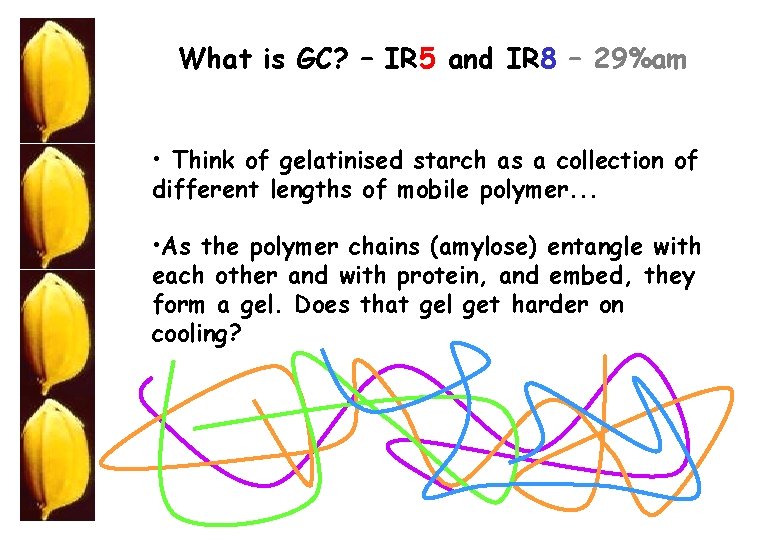 What is GC? – IR 5 and IR 8 – 29%am • Think of