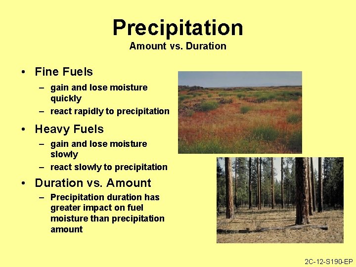 Precipitation Amount vs. Duration • Fine Fuels – gain and lose moisture quickly –